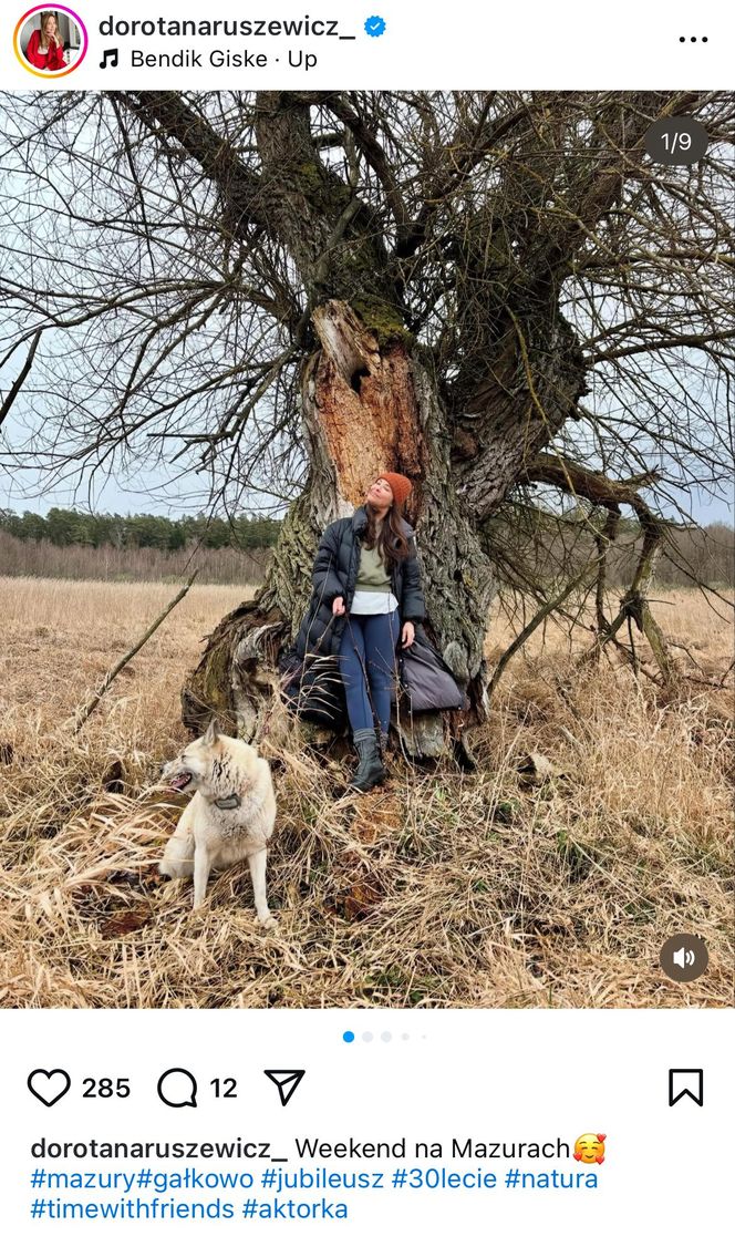Te psy skradły serca gwiazd! Niektóre wyglądają jak z bajk