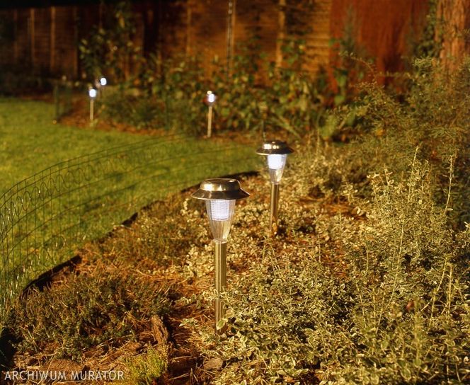 Oświetlenie ogrodowe: co warto oświetlić w ogrodzie?