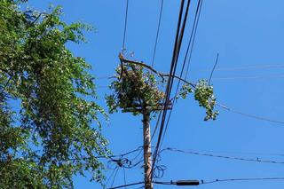 10 tornad zaatakowało Chicago