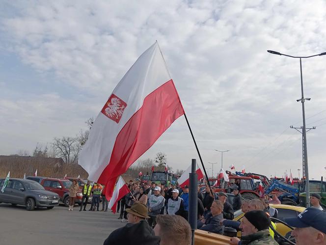 protest siódemka 2 