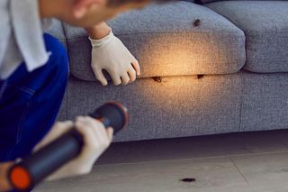  Atak pluskiew w Warszawie 