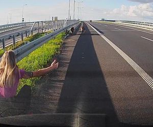 Policjantka z Częstochowy uratowała psy na S5