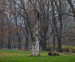 Zakończyła się rewitalizacja Parku Włókniarzy w Bielsku-Białej