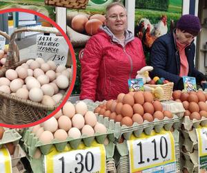 Ile kosztują jaja w 2024 roku? Sprawdzamy ceny w Gdyni!