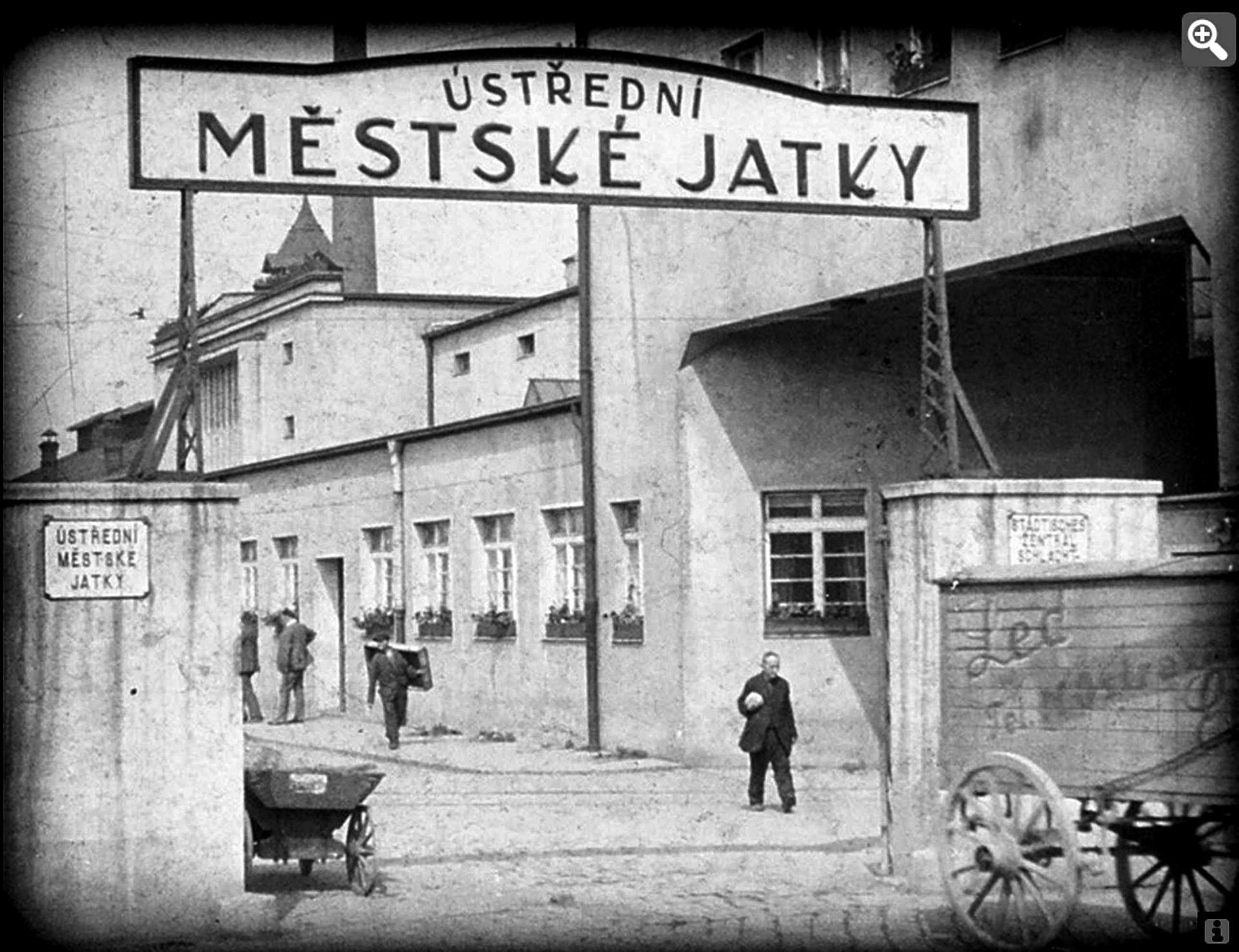 Galeria PLATO - archiwalne zdjęcia