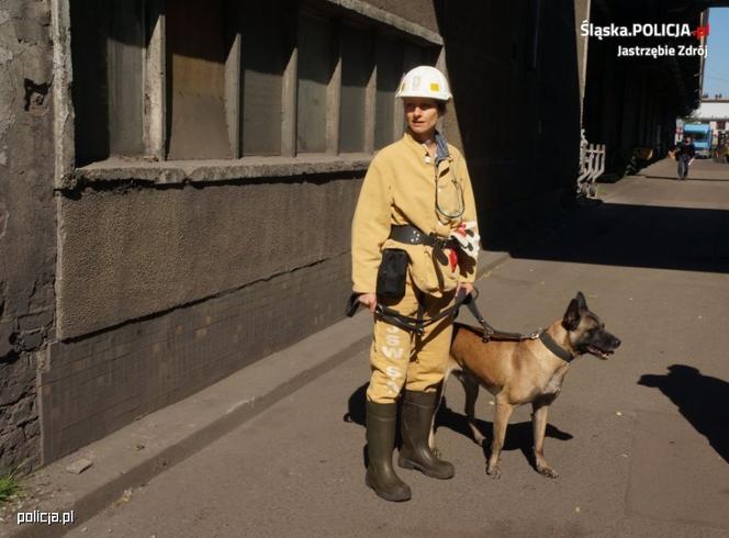 Pies policyjny z Olsztyna gwiazdą internetu. Jego zdjęcie robi furorę na Twitterze!