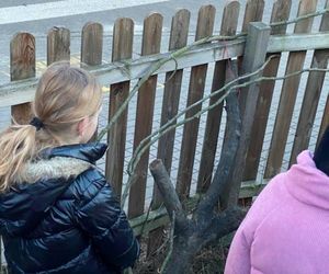 Muzeum Patyka w Toruniu