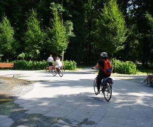 Park Miejski w Sandomierzu