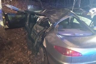33 latek uderzył w drzewo i zginął
