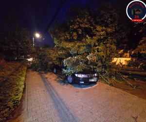 Warszawa zalana po burzy! Gigantyczne szkody na ulicach i posesjach