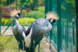To uzdrowisko znów będzie turystycznym hitem lata. Jakie atrakcje warto zobaczyć w Muszynie? 