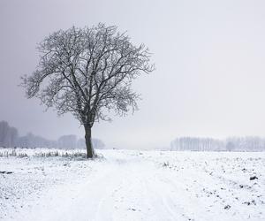 Pierwszy śnieg we Wrocławiu. Do kiedy będzie padać? Zapowiadane mrozy do -8°C