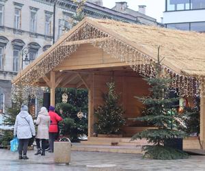 Szopka w Lublinie jest już gotowa. Mieszkańcy chętnie robią sobie przy niej zdjęcia 