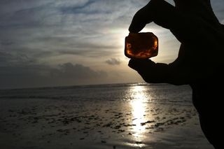 Gdzie w Polsce szukać bursztynów?