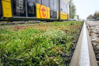 Tory tramwajowe w Warszawie pachną włoską pizzą