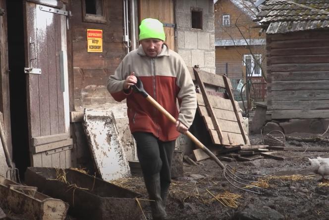 Rolnicy. Podlasie. Gienek i Andrzej karmią krowy. Sławek: Widać jaki tu porządek