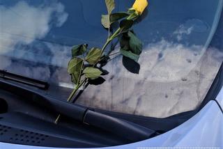 Żółta róża dla wrocławskich policjantów. Kto ją tam zostawił? 