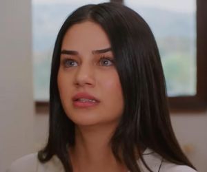 Miłość i nadzieja odc. 278. Bahar, Kuzey