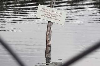 Jezioro Wielkie Oczko ogrodzone płotem. Zwierzęta odcięte od wody. Radny Gdańska: Takiej dewastacji dawno nie widziałem