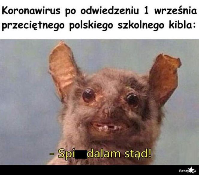 Memy o szkole 2020. Nauka u dobie koronawirusa. Żarty z nowej sytuacji 