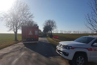 Tragedia na drodze pod Nysą. Samochód wjechał w drzewo. Nie żyją cztery osoby