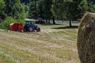 Dramat na polu. Mężczyzna zginął, próbując zatrzymać traktor 