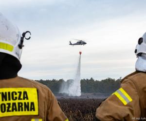 Pożar w Biebrzańskim Parku Narodowym [ZDJĘCIA]