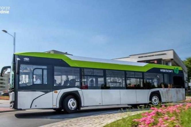Autobusy z przyszłości w Kołobrzegu. Kurort stawia na ekologię