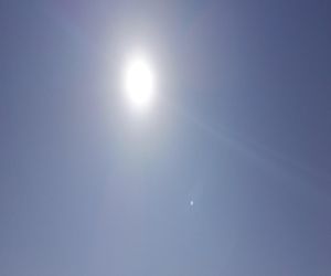 W Lubuskiem tropikalnie! Szukajmy cienia i ochłody