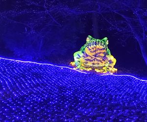 Park iluminacji w Lublinie