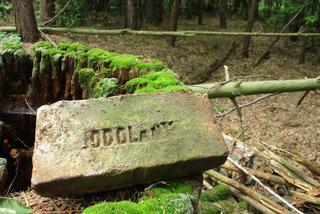 To miejsce w Lesie Bielańskim niegdyś tętniło życiem. Fragmenty budowli pozostały do dziś