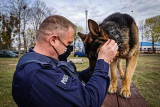 Trop zawiódł go na wysłużoną emeryturę. Cezar odchodzi z policji