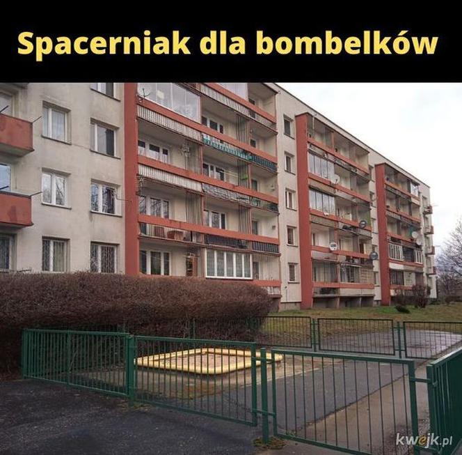 Najlepsze memy o Krakowie. Te grafiki bawią do łez 
