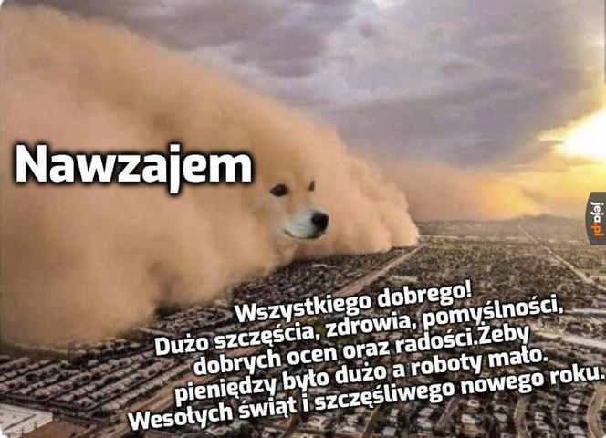 Memy o Bożym Narodzeniu. Już niebawem te obrazki staną się rzeczywistością 