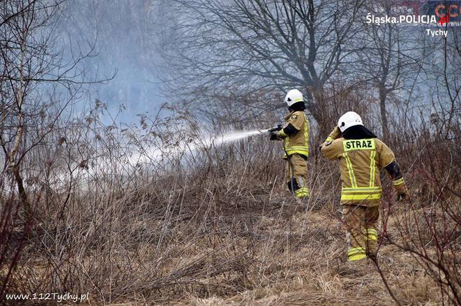 Chcieli wypalić trawę. Spalili 6 samochodów