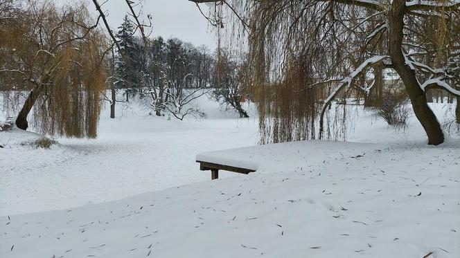 Zamojski Park pod śniegiem