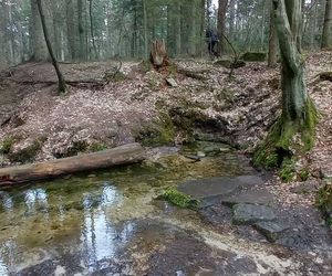 Źródło rzeki Kamiennej Biały stok