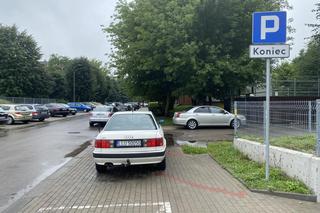 Problem z samochodami, potencjał w przestrzeni? 