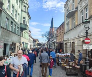 Jarmark stroci ponownie zawitał do Pszczyny