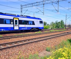Plan przetargów kolejowych na 2026 rok za około 9,5 mld złotych