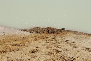 Akwen i biały piasek jak śmiertelna pułapka. Turysta ugrzązł w mule i nie mógł się ruszyć