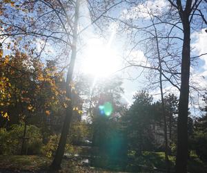 Park Wilsona jesienią