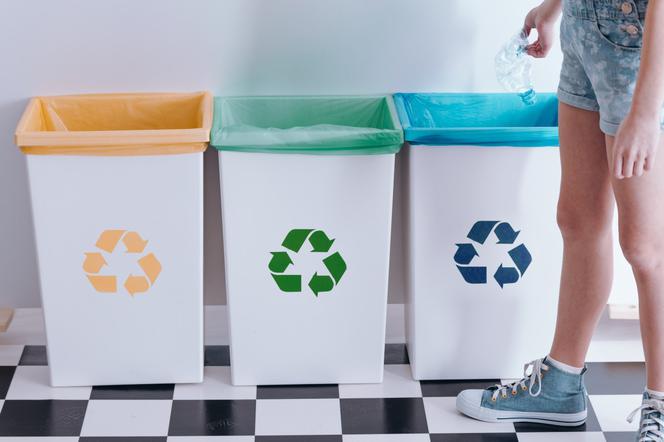 Segregacja śmieci: kolory pojemników na odpady. Co wrzucamy do każdego z nich?