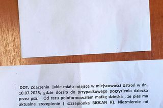 Pogryziony Franek potrzebuje pomocy. Policja szuka właściciela psa. Do szpitala dotarła anonimowa wiadomość