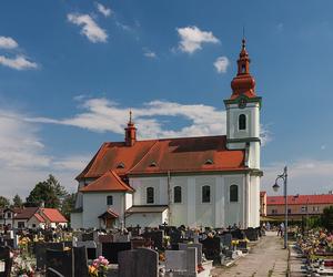 Wsie w województwie śląskim z największą liczbą mieszkańców