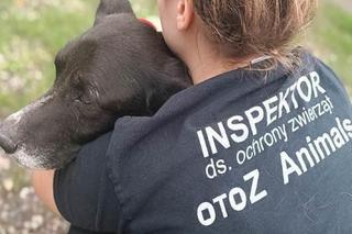 Dżeki potrzebuje pomocy