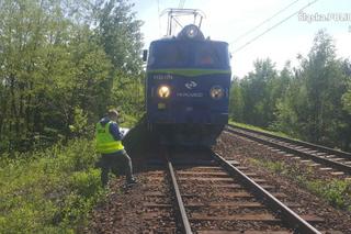 Tragedia na torach. Nie żyje mężczyzna, trwa ustalanie jego tożsamości