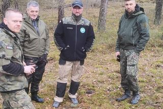 Krzyżackie i polskie monety w rękach badaczy! Szokujące odkrycie w Borach Tucholskich 