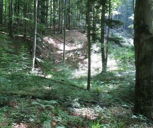Jeziorka Duszatyńskie 
