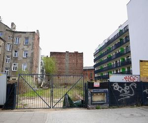 Deweloper nielegalnie wyciął dwa drzewa w Warszawie. Mieszkańcy oburzeni. „Będziemy reagować”